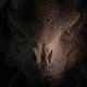 A dragon lurks in the shadows.
